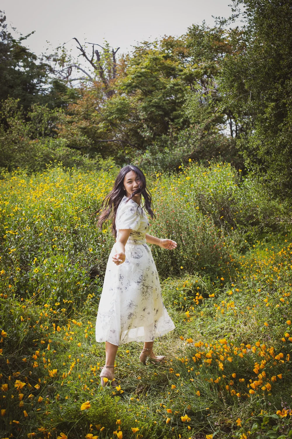 A professional photograph from our gallery