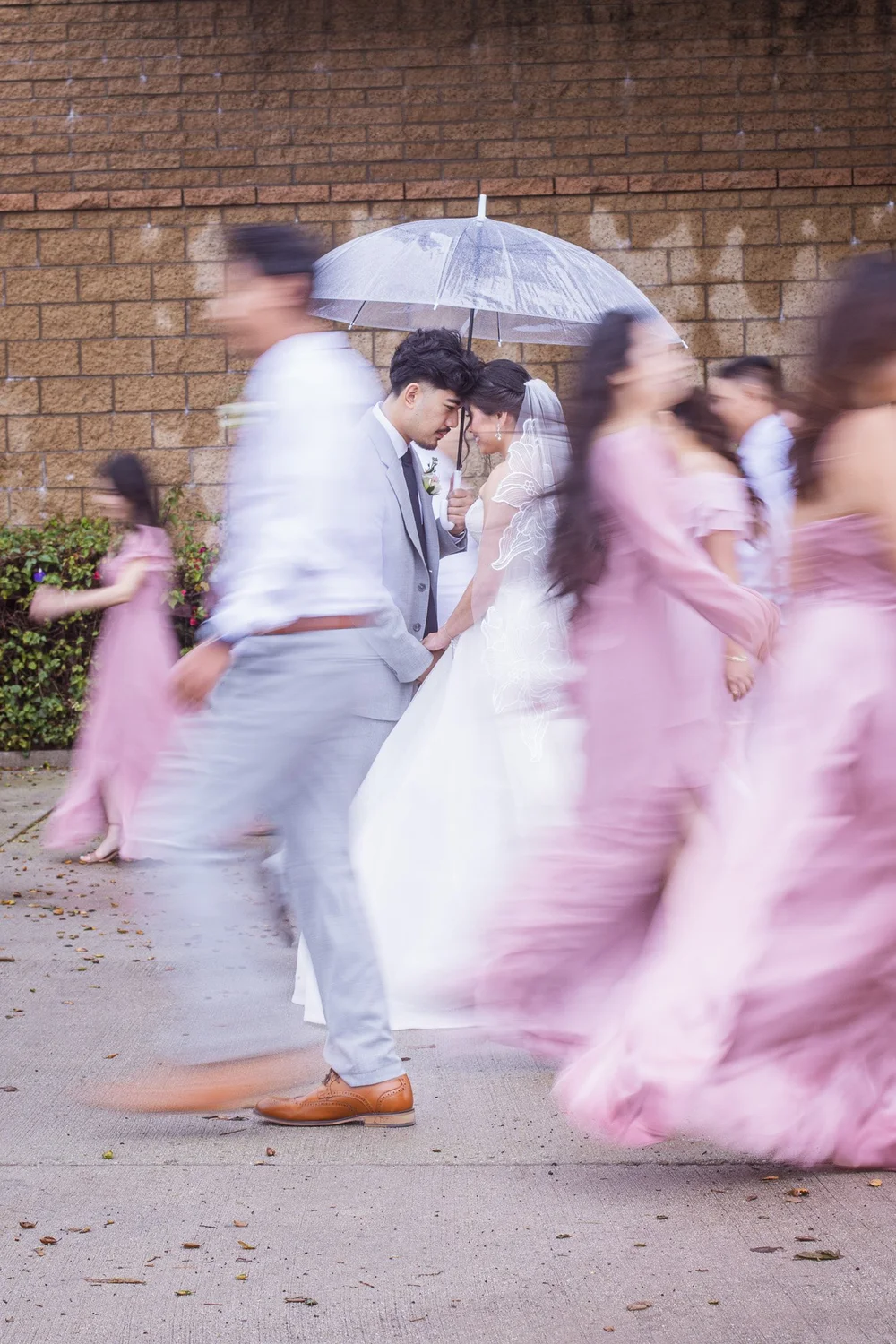 A professional photograph from our gallery