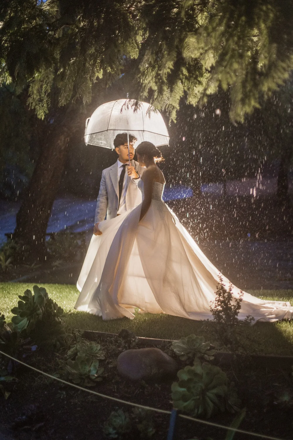 A professional photograph from our gallery